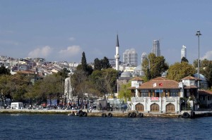 Beşiktaş Böcek İlaçlama