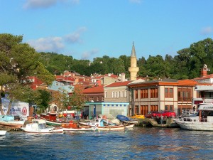 Beykoz Böcek İlaçlama