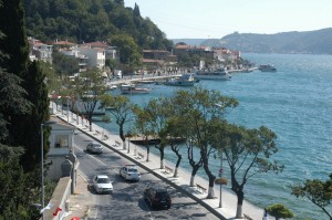 Sarıyer Böcek İlaçlama