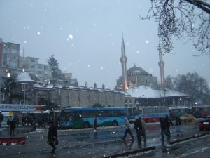 Üsküdar Böcek İlaçlama